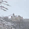 Lunzenau_Schloss Rochsburg Winter_(c)Schloss Rochsburg_CC BY-SA (5).jpg