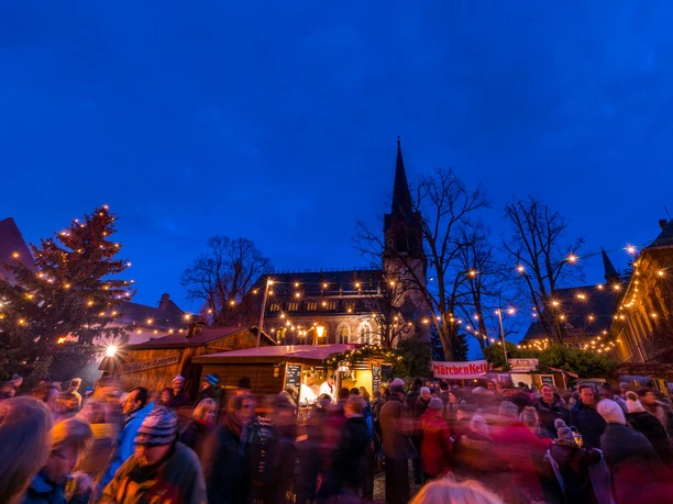 Christmas market with people, illuminated building and tree at dusk in Radebeul.