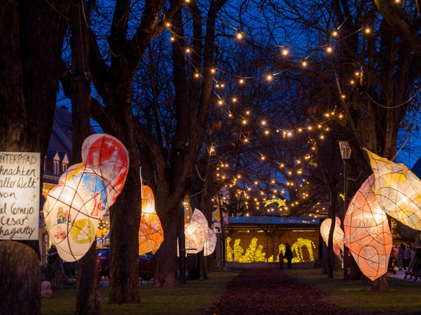 Radebeul_Lichterpfad3_AndréWirsig.JPG Ein beleuchteter Pfad durch Bäume, dekoriert mit bunten Laternen und Lichterketten in der Dämmerung.