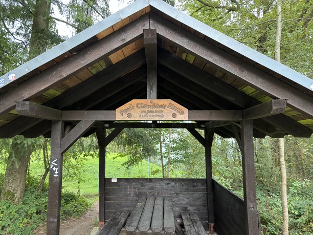 Schutzhütte an der Hohen Warte Unter einem hölzernen Pavillon steht eine rustikale Sitzbank in einem grünen Wald.