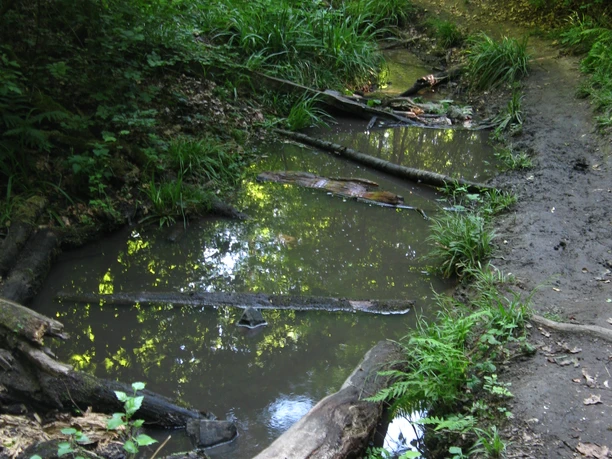 Melbtal Biolog. Station Weg
