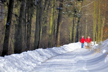 snow-1121117_1280.jpg