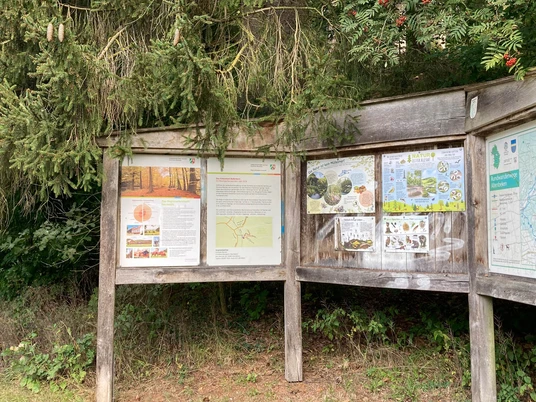 Arboretum am Bollerborn | Altenbeken