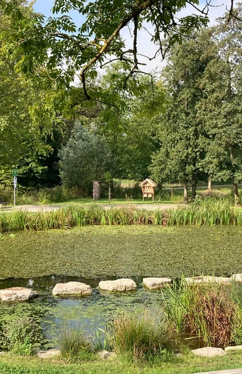 Freizeitanlage | Altenbeken-Buke Freizeitanlage | Altenbeken-Buke