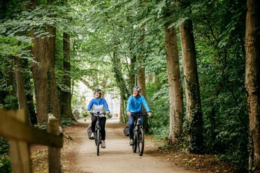 Brückenradweg Osnabrück - Bremen Twee fietsers genieten van een ritje op een bospad omringd door hoge bomen.