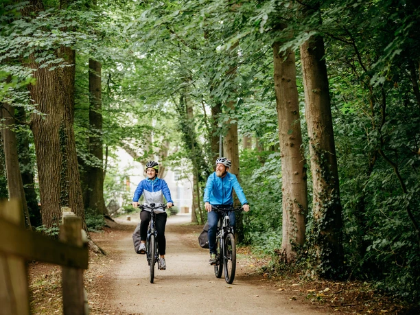 Brückenradweg Osnabrück - Bremen Twee fietsers genieten van een ritje op een bospad omringd door hoge bomen.