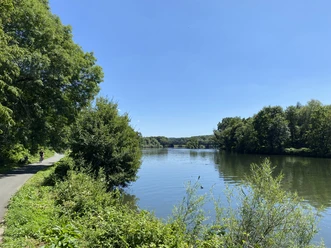 Ein ruhiger Fluss mit bewachsenem Ufer, umgeben von üppigem Grün und einem klaren blauen Himmel.