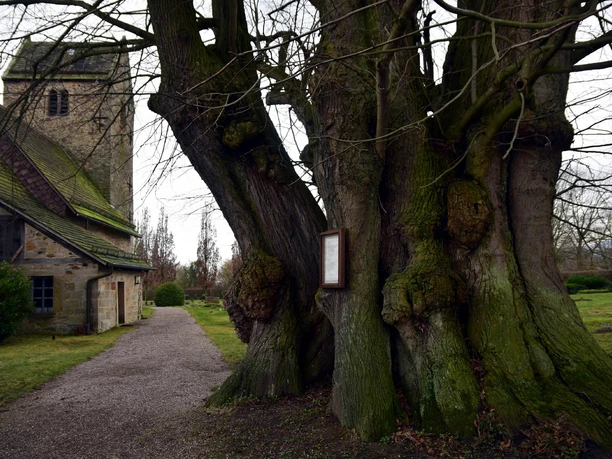 AU4 Katharinenkirche und Gerichtslinde