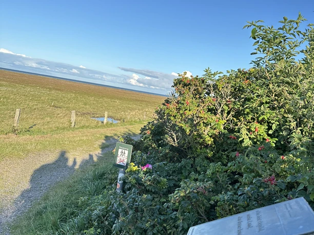 Kunststele Emmi Leisner