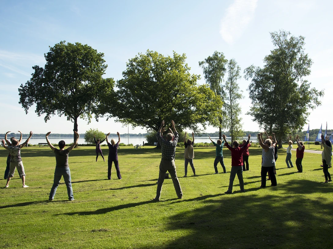 qigong Menschen praktizieren Qigong auf einer Wiese, umgeben von Bäumen und nahe dem Zwischenahner Meer. Der Himmel ist klar.