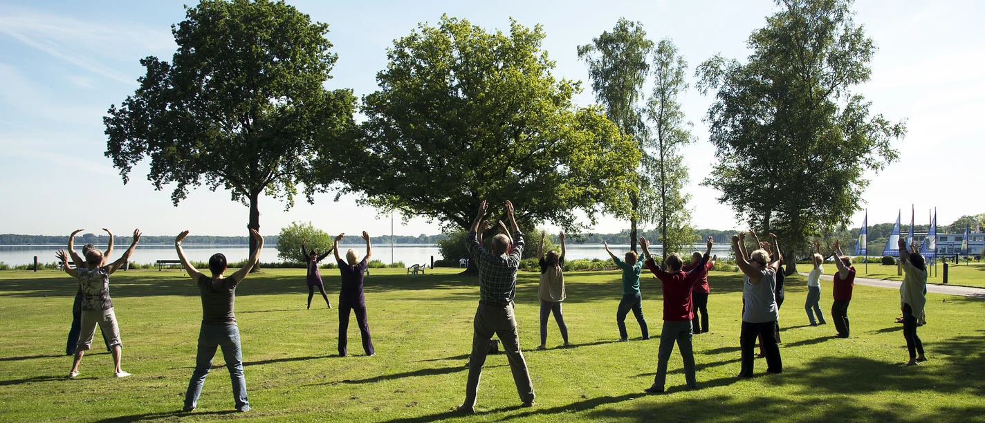 qigong Menschen praktizieren Qigong auf einer Wiese, umgeben von Bäumen und nahe dem Zwischenahner Meer. Der Himmel ist klar.