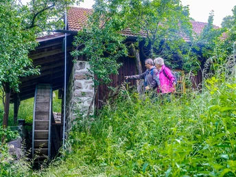 Wanderer bei der Buhnefronze Mühl mit Blick auf das Wasserrad eingerahmt von frischem Grün