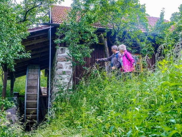 Wanderer bei der Buhnefronze Mühl mit Blick auf das Wasserrad eingerahmt von frischem Grün