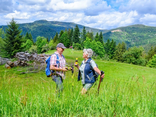 Wanderer am Bosensteiner Almpfad in sattgrüner Wiese mit Blick zur Hornisgrinde
