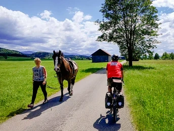 Gravelbiken mit Zugspitzblick grüne Landschaft