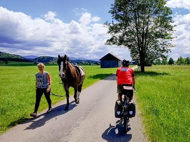 Gravelbiken mit Zugspitzblick grüne Landschaft