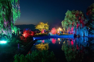 Lichternacht im Zwischenahner Kurpark De foto toont een nachtelijk tafereel in het kuurpark Zwischenahn, waar helder licht de bomen en het water in levendige kleuren hult. De weerspiegelingen creëren een fascinerende symfonie van helder rood, blauw en groen op de kalme vijver, terwijl de silhouetten van bezoekers het landschap verlevendigen.