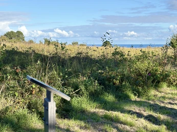 Kunststele Valeska Gert