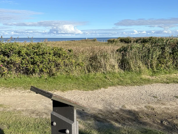 Kunststele Siegfried Jacobsohn