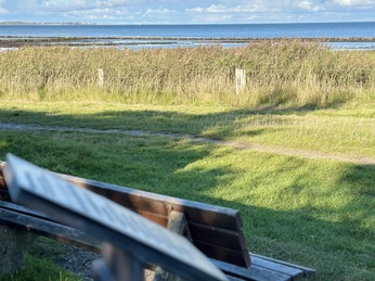 Kunststele Peter Suhrkamp