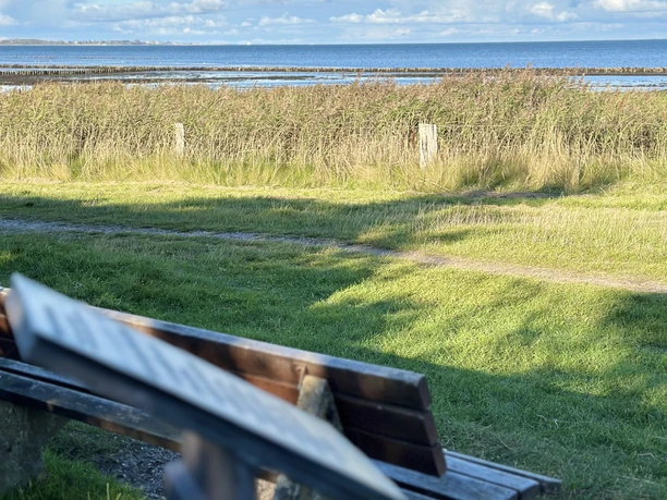 Kunststele Peter Suhrkamp