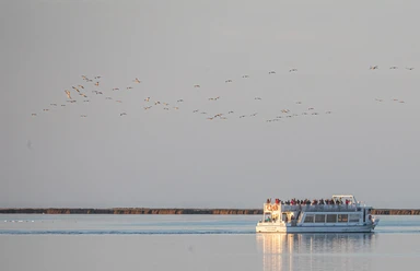 Kranichfahrten ab Hafen Stralsund