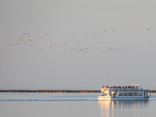 Kranichfahrten ab Hafen Stralsund