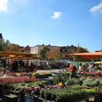 Wochenmarkt Peine