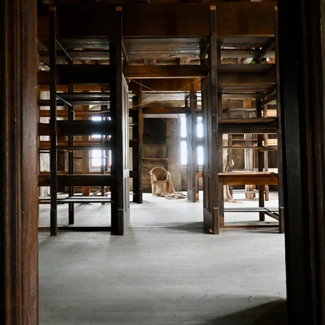 Görlitz 2024_c_TMGS_Fravely (2).jpeg