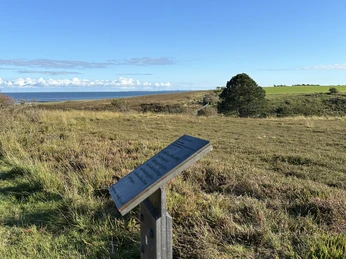 Kunststele Edwin Scharf