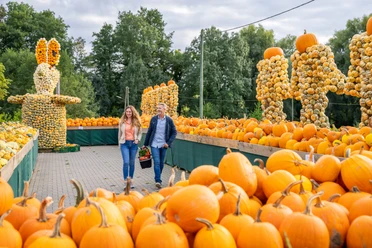 Bauerngarten Benninghoven, Ratingen Zwei Personen spazieren durch einen Markt, umgeben von unzähligen Kürbissen und kunstvollen Skulpturen.
