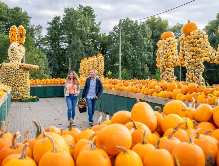 Bauerngarten Benninghoven, Ratingen Zwei Personen spazieren durch einen Markt, umgeben von unzähligen Kürbissen und kunstvollen Skulpturen.