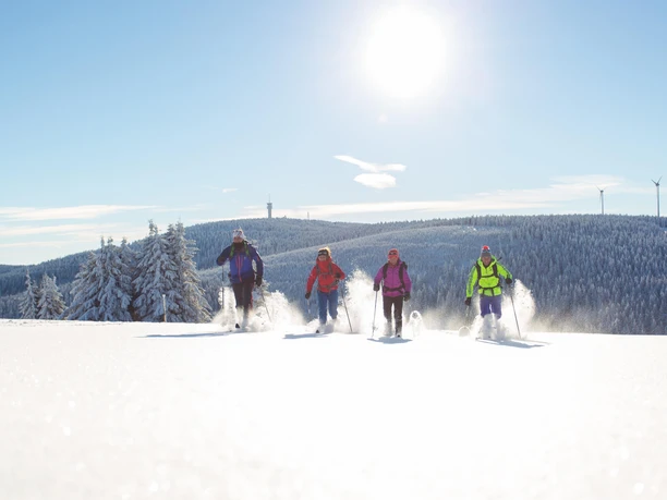Stoneman Miriquidi SNOW