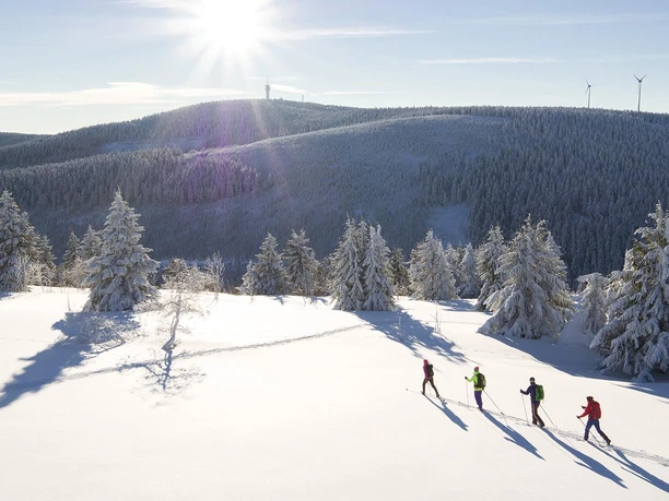 Stoneman Miriquidi_SNOW