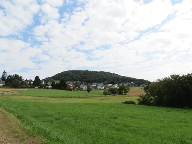 Ortsgemeinde Aremberg