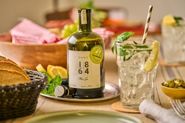 Haus Stemberg Gin - Anno 1864 Haus Stemberg Gin von 1864 in Szene gesetzt mit einem erfrischenden Cocktail und Beilagen.