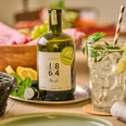 Haus Stemberg Gin - Anno 1864 Haus Stemberg Gin von 1864 in Szene gesetzt mit einem erfrischenden Cocktail und Beilagen.