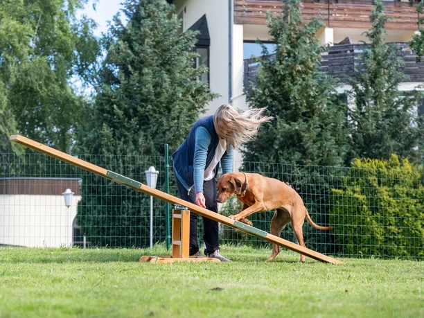 Hotel Der Wolfshof in Wolfshagen - Spiel mit Hunden Hotel Der Wolfshof in Wolfshagen - Spiel mit Hunden
