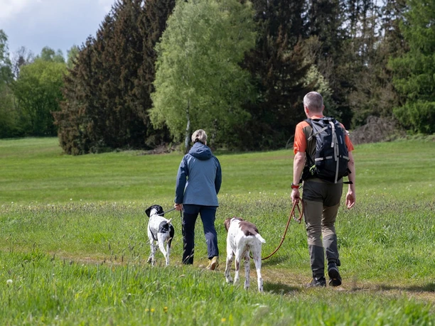 Hotel der Wolfshof in Wolfshagen - Wandern mit Hund Hotel der Wolfshof in Wolfshagen - Wandern mit Hund