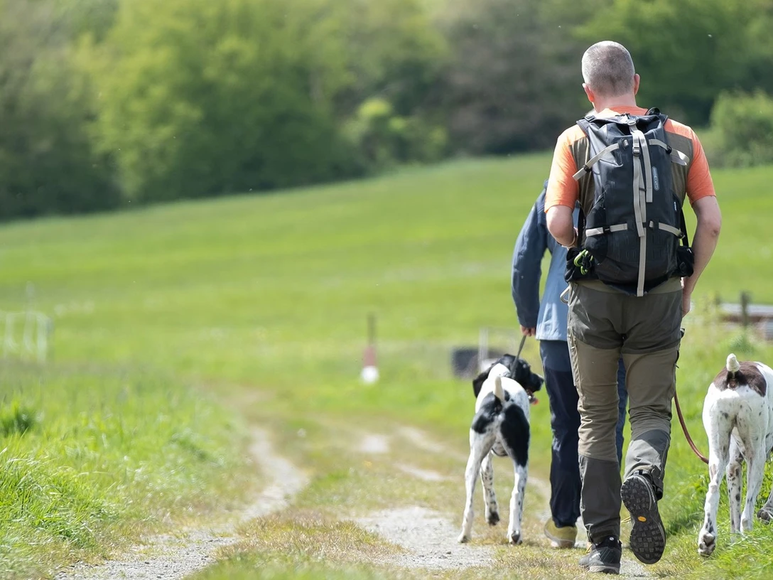 Hotel der Wolfshof in Wolfshagen - Wandern mit Hund Hotel der Wolfshof in Wolfshagen - Wandern mit Hund