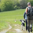 Hotel der Wolfshof in Wolfshagen - Wandern mit Hund Hotel der Wolfshof in Wolfshagen - Wandern mit Hund