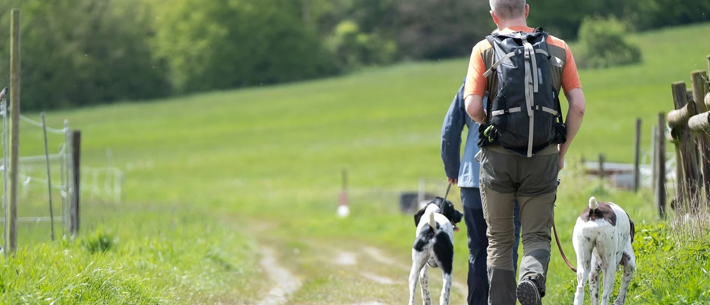 Hotel der Wolfshof in Wolfshagen - Wandern mit Hund Hotel der Wolfshof in Wolfshagen - Wandern mit Hund
