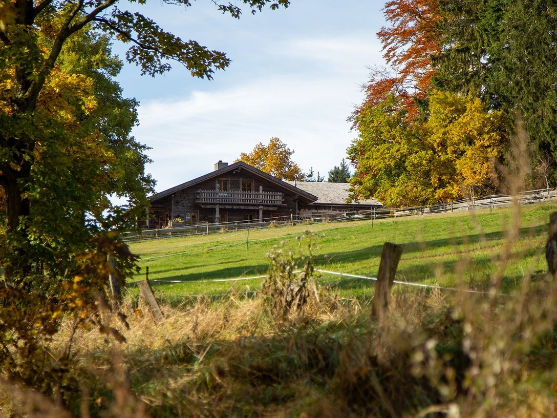 Hotel der Wolfshof in Wolfshagen - Hüttentour Hotel der Wolfshof in Wolfshagen - Hüttentour