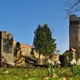 Fruehling Totenhagen Graeber Tylenturm