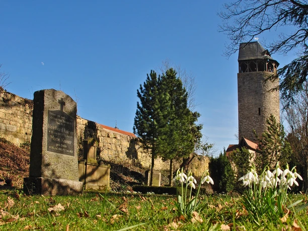 Fruehling Totenhagen Graeber Tylenturm