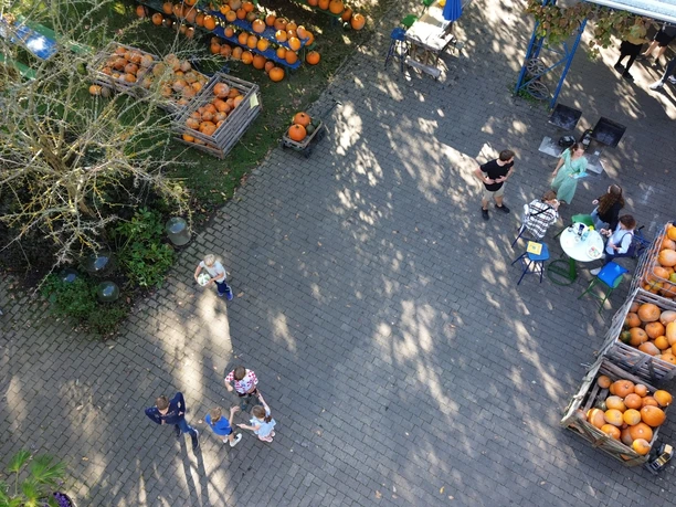 Blick in den Hof mit großer Kürbisauswahl Foto aus der Vogelperspektive in den Hof. Im Angebot sind zahlreiche Kürbisse.