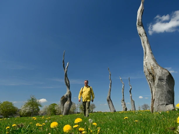 Skulpturen bei den Försterteichen im Staffpark in Lemgo