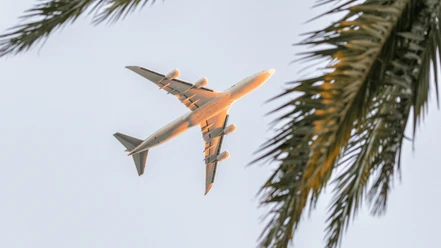 TUI Deutschland Destinatio one.png Ein Passagierflugzeug fliegt bei Sonnenuntergang über palmenbewachsene Landschaft, klarer Himmel.