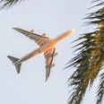 TUI Deutschland Destinatio one.png Ein Passagierflugzeug fliegt bei Sonnenuntergang über palmenbewachsene Landschaft, klarer Himmel.