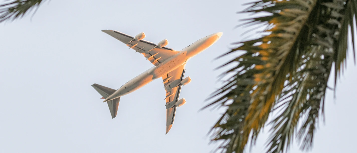TUI Deutschland Destinatio one.png Ein Passagierflugzeug fliegt bei Sonnenuntergang über palmenbewachsene Landschaft, klarer Himmel.